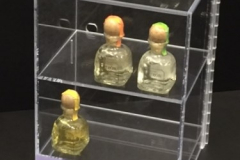 DisplayCasePatron-2